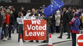 Protest za odchod Velké Británie z EU (13. 3. 2019)