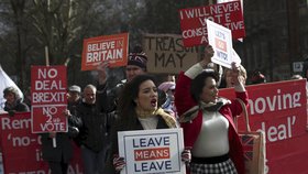 Protest za odchod Velké Británie z EU (13. 3. 2019)