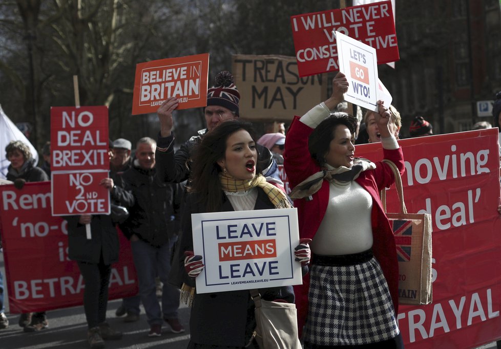 Protest za odchod Velké Británie z EU (13. 3. 2019)