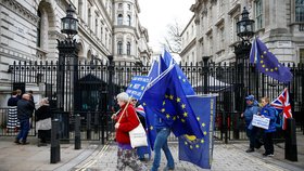 Demonstranti proti brexitu před Downing Street 10