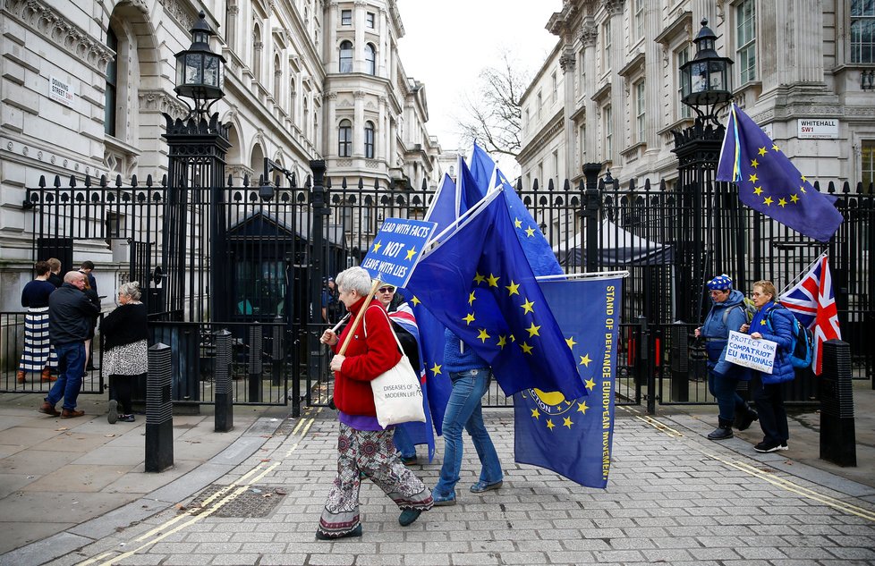 Demonstranti proti brexitu před Downing Street 10