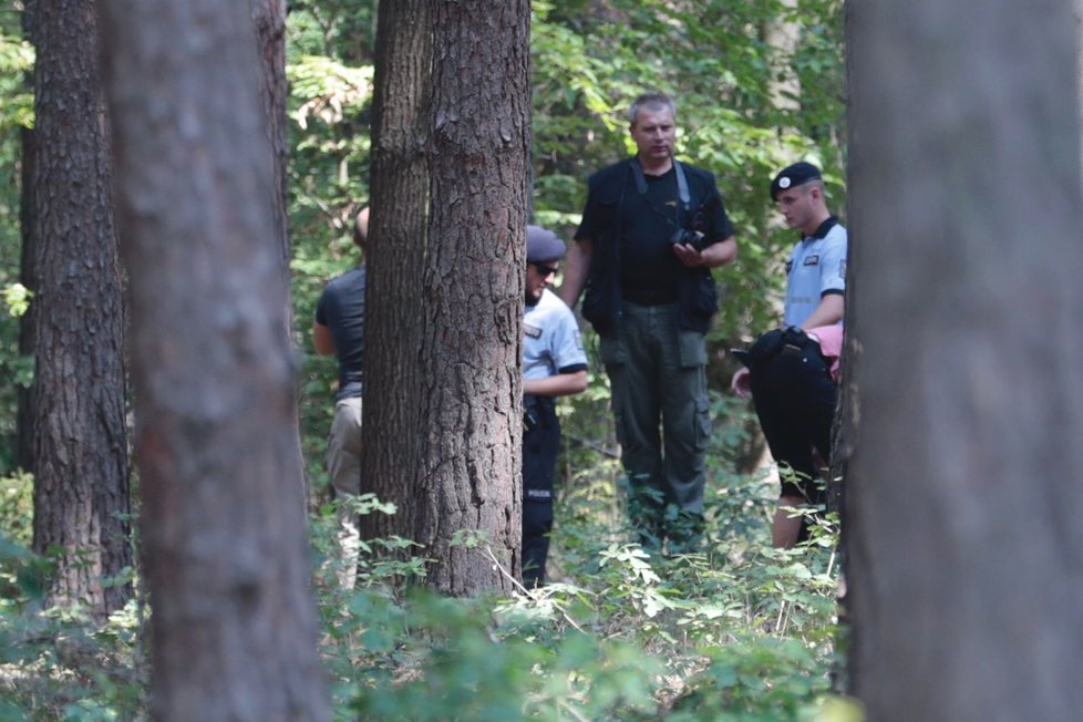 V lese v obci Březová jižně od Prahy nalezli mrtvého člověka.