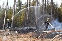 Dva ničivé požáry ve vyschlém Česku: Na Sokolovsku a Písecku hasiči bojují s požáry lesů