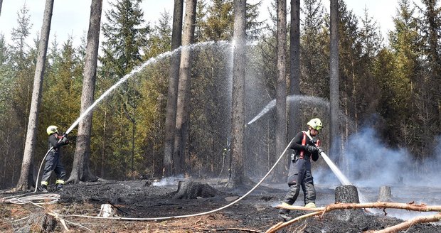 Dva ničivé požáry ve vyschlém Česku: Na Sokolovsku a Písecku hasiči bojují s požáry lesů