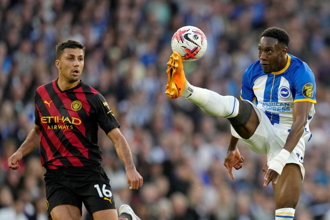 Kádr plný perspektivních mladíků doplňuje Brighton o zkušené fotbalisty, jako je například Danny Welbeck