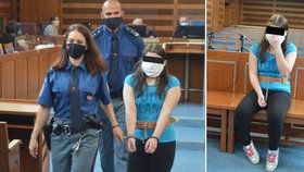 Soud v Hradci Králové poslal Brigitu (19) za vraždu novorozené holčičky za mříže na 16 let. Rozsudek není pravomocný.