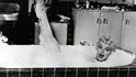 Marylin Monroe sice štábu nenabídla hanbaté překvapení, zato její koupelnová scéna ve Slaměném vdovci rozpálila cenzurní komisi natolik, že ji značně upravili.