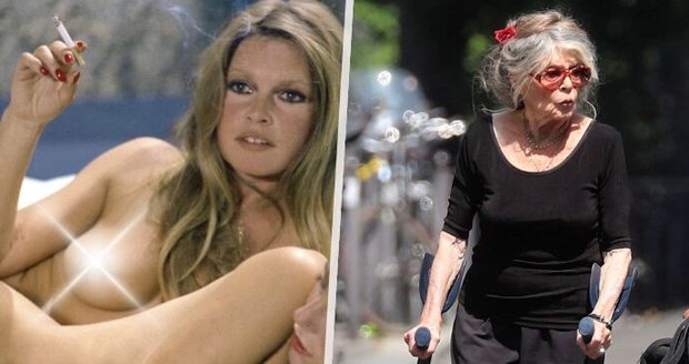 Strach o zdraví bývalé sexbomby: Bardotová (91) opět ve špitále