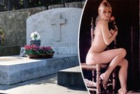 Brigitte Bardotová měla přání, ale: Zákaz kvůli pohřbu!