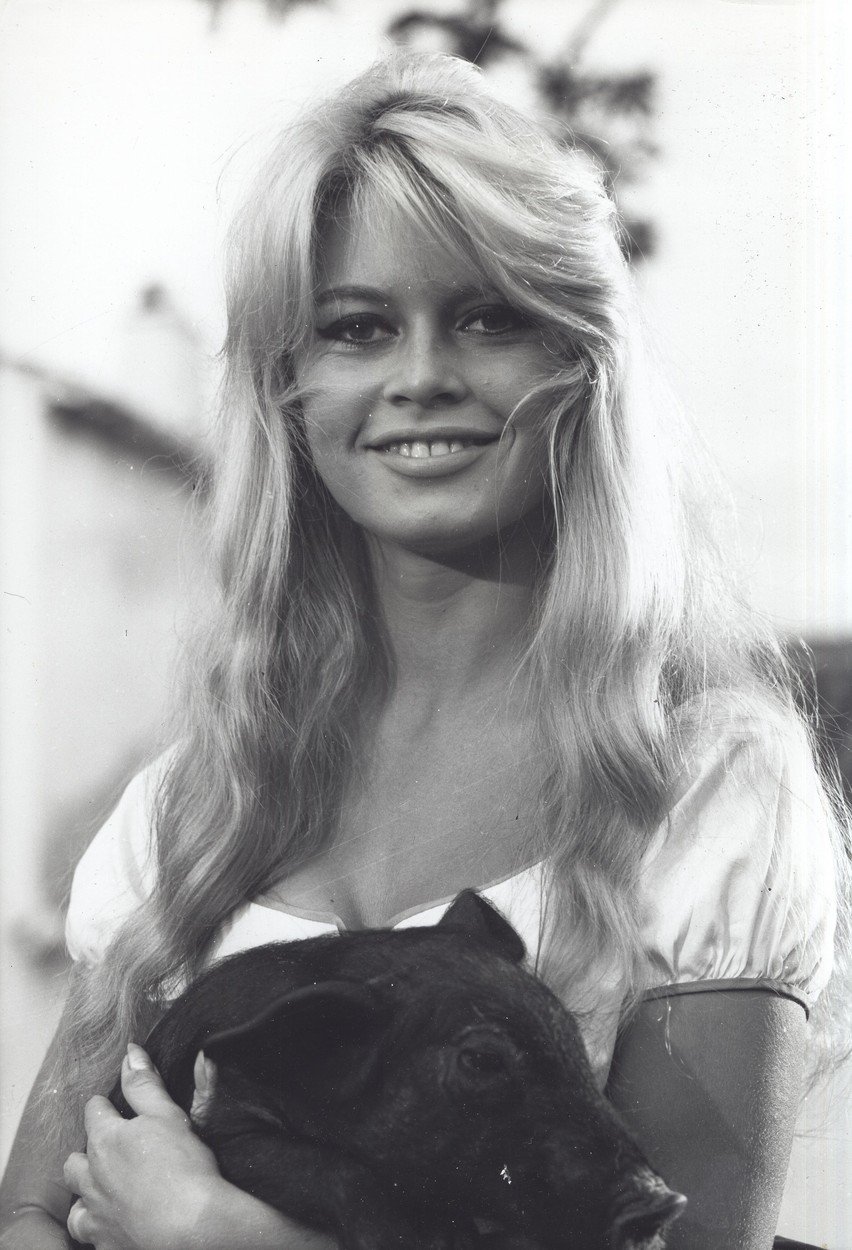 Brigitte se stala celosvětovou sexbombou a ikonou, kterou obdivovali nejenom muži, ale také ženy.