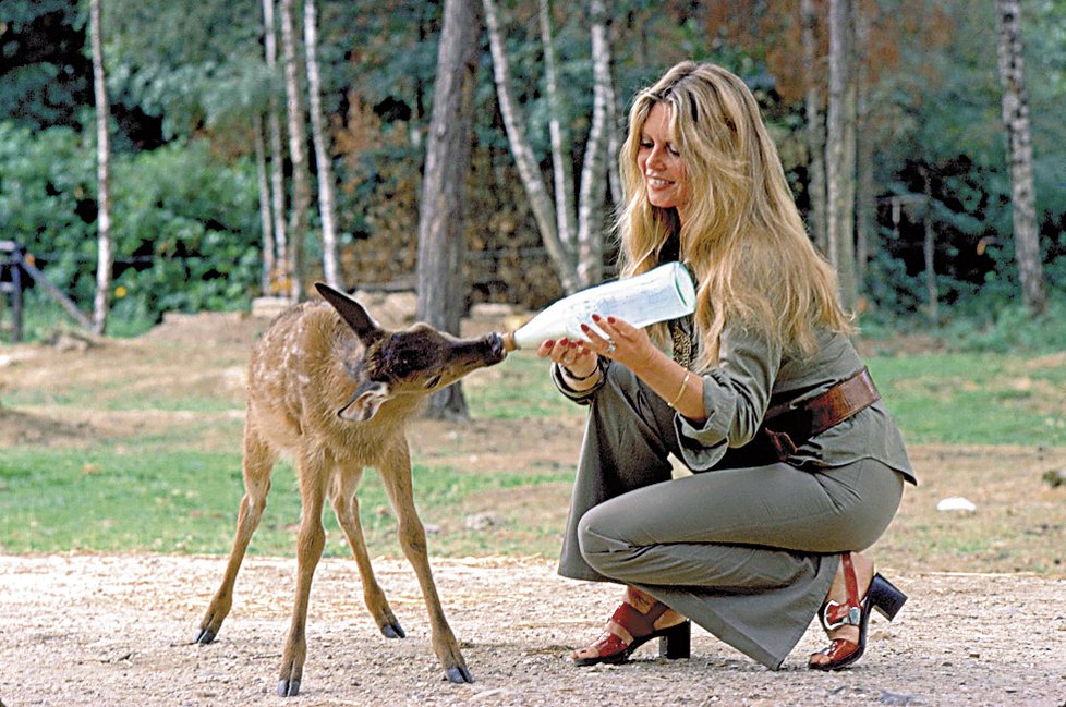 Brigitte Bardotová se celý život zasazovala za práva zvířat.