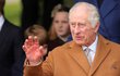 Britská královská rodina vyrazila na bohuslužbu v Sandringhamu (25. 12. 2023) Britská královská rodina vyrazila na bohuslužbu v Sandringhamu (25. 12. 2023)