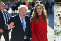 Termín porodu premiérovy manželky se blíží: Překvapivý tah s vánočním přáním Johnsonové