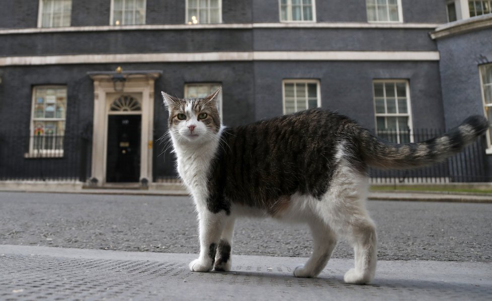 Larry, vrchní myšilov úřadu britské vlády.