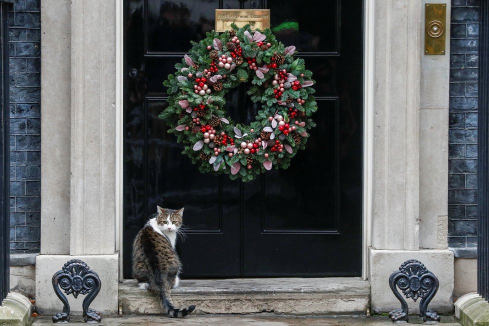 Larry, vrchní myšilov úřadu britské vlády.