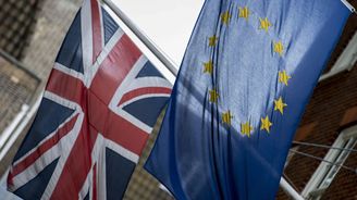 Britská vláda odmítla petici žádající nové referendum o EU  