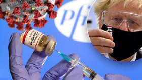 Británie předehnala okolní státy a jako první schválila vakcínu proti koronaviru