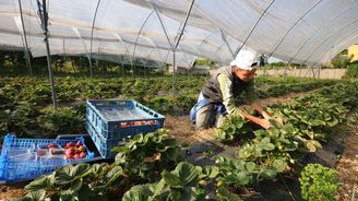 Eurozóna zažívá boom částečných a špatně placených pracovních úvazků