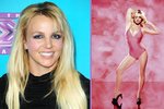 Britney plánuje ukončit kariéru! Co je an tom pravdy?