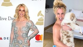 Britney Spears pózující nahá se psem.