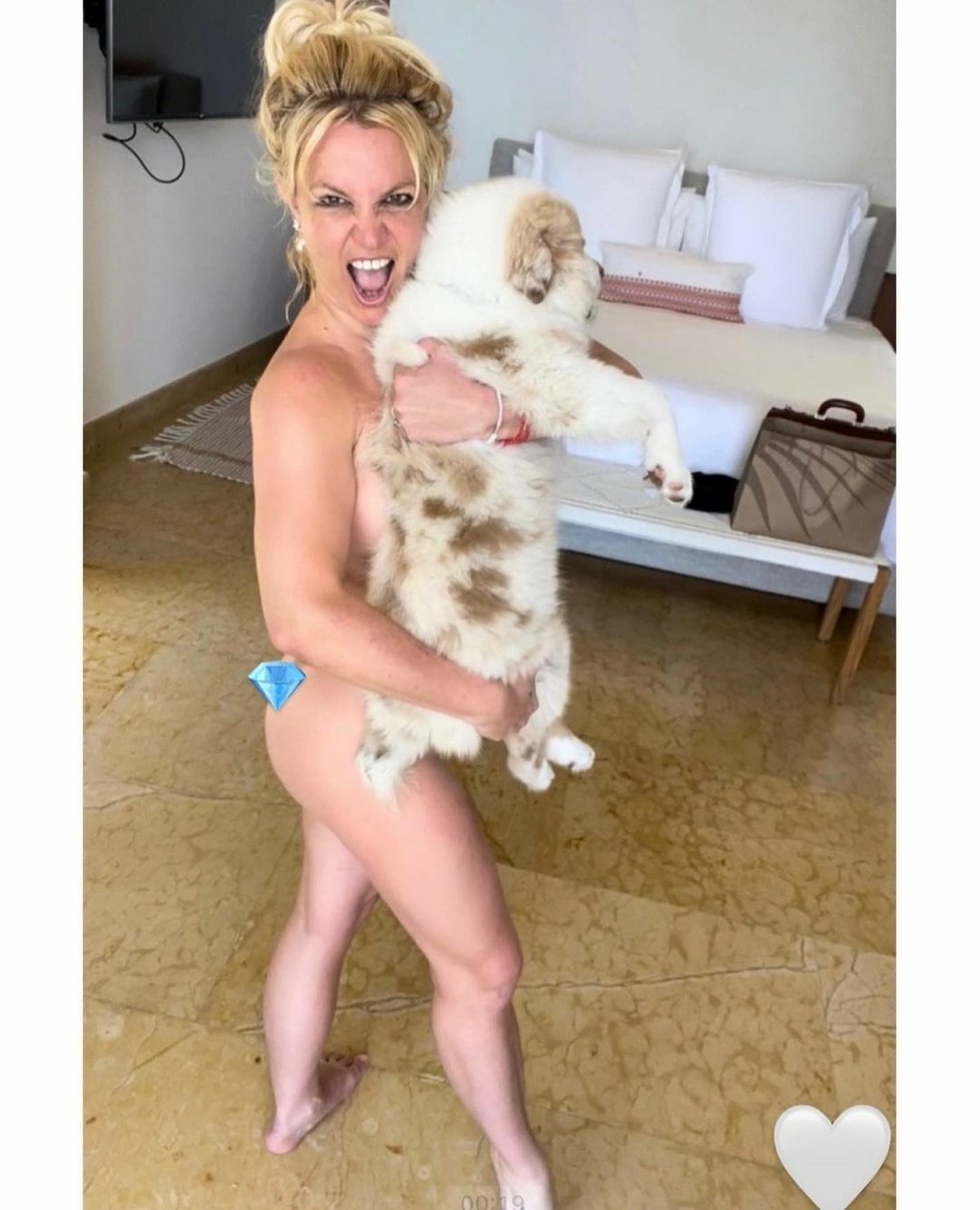 Britney Spears pózující nahá se psem