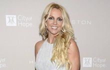 Malířka Britney Spears dražila svůj obraz