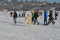 Varování brněnských strážníků: Nechoďte na přehradě na led, je to životu nebezpečné!