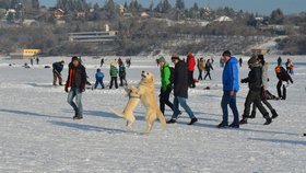 Na Brněnskou přehradu vyrazily bruslit a běžkovat desítky tisíc lidí.