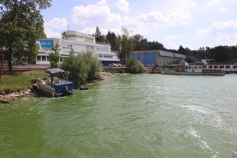 Brněnská přehrada zezelenala. Hygienici vyhlásili zákaz koupání.