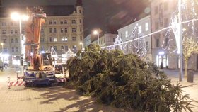 Loučení.Těsnohlídkův vánoční strom opustil brněnské náměstí Svobody. Adventní trhy navštívilo podle organizátorů v centru města v průměru denně 28 tisíc lidí.