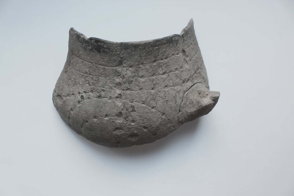Typické doklady kultury s lineární keramikou.