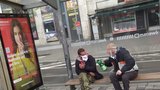 Brno ustoupilo opilcům: V parcích a na náměstích dovolilo popíjet alkohol