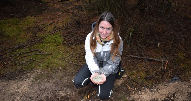 V lesích u Brna našla hledačka pokladů nádobku s 274 mincemi z období vlády Václava IV. Ukryty tu byly 600 let...