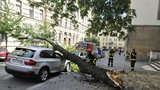V centru Brna spadl strom: Zdemoloval luxusní auto 