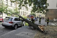 V centru Brna spadl strom: Zdemoloval luxusní auto