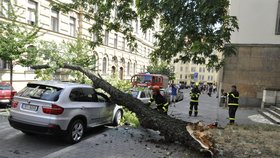 Mozartovu ulici v centru Brna zatarasila 23. července odpoledne ulomená část stromu, který roste u kláštera jezuitů. Větev s téměř metrovým průměrem zdemolovala luxusní vůz značky BMW.