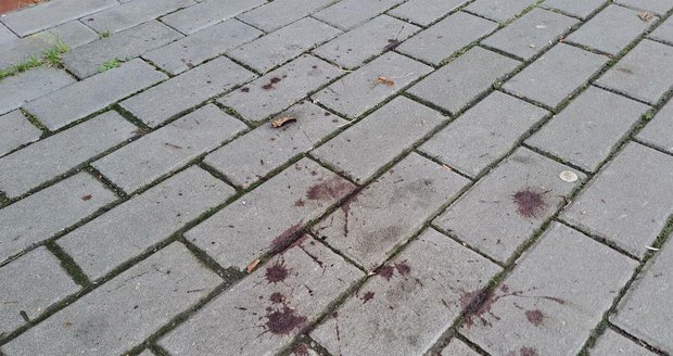 Chodník před květinářstvím v Táborské ulici v Brně nese stále stopy dívčiny krve.