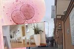 Klinika Reprofit v Brně - tady dvěma ženám zaměnili embrya.