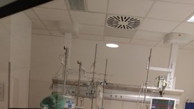 Jednotka intenzivní péče ve FN u sv. Anny v Brně, kde leží pacienti s nejtěžším průběhem nákazy koronavirem.