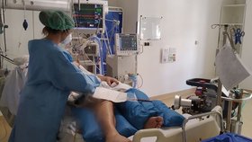 Na Anesteziologicko resuscitační klinice Fakultní nemocnice u sv. Anny v Brně leží nějtěžší případy pacientů s koronavirem.