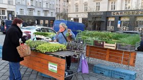 Brňané vzali farmářské trhy útokem: Zájem o květiny, bylinky a sazenice byl velký