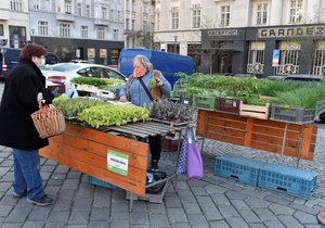 Na brněnském Zelném trhu začaly  opět fungovat farmářské trhy. 