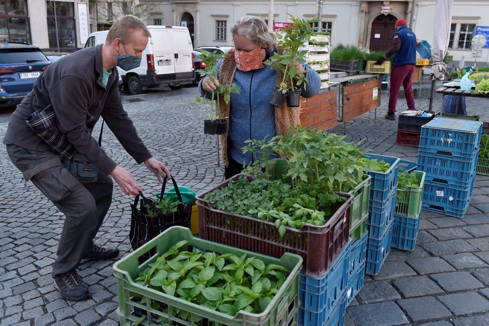 Na brněnském Zelném trhu začaly  opět fungovat farmářské trhy.