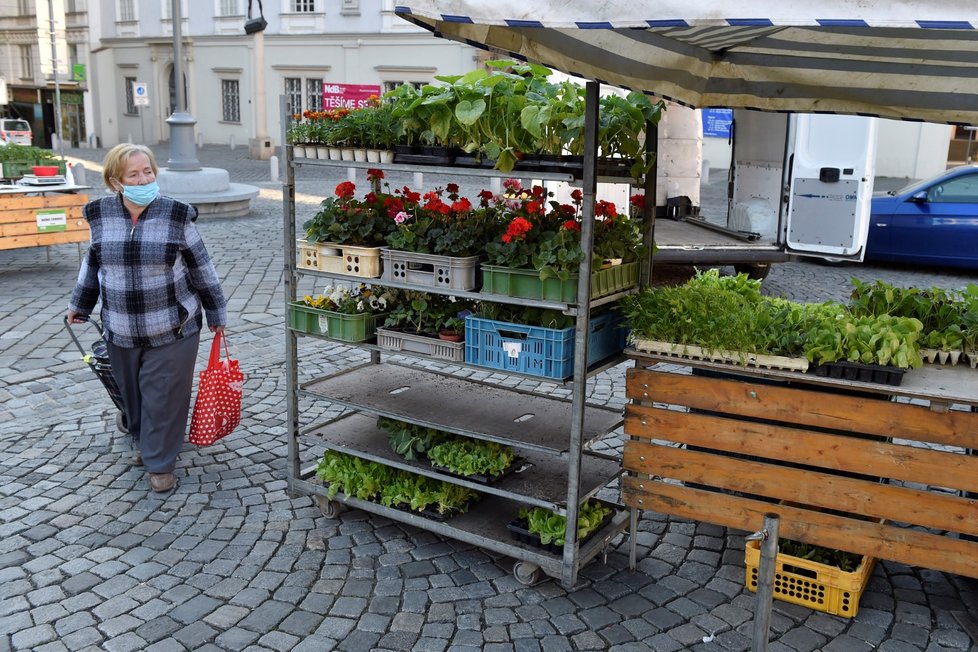 Na brněnském Zelném trhu začaly  opět fungovat farmářské trhy.