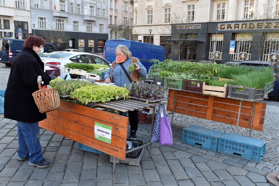 Na brněnském Zelném trhu začaly  opět fungovat farmářské trhy.