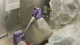 Naděje z Brna: Laboratoře od sv. Anny testují imunitu buněk proti koronaviru