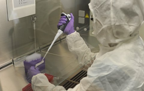 Naděje z Brna: Laboratoře od sv. Anny testují imunitu buněk proti koronaviru