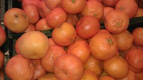 Plesnivé mandarinky v brněnském Globusu.