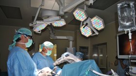 Američanka jela za levnou plastikou: Zemřela na operačním stole (ilustrační foto)