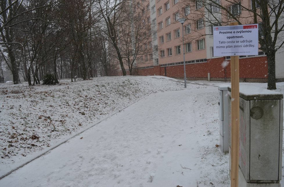 Namrzající chodníky byly v Brně obtížně schůdné i během úterka. Kdo nemusel, raději nevycházel.